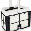 Maytronics Dolphin Cleaners Filter Cartridge Basket Assembly, Ultra-Fine Mesh