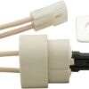 Pentair Igniter with Gasket Kit for Max-E-Therm and MasterTemp® Heater Electrical System