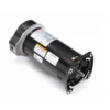 Century – Square Flange Up Rated 1.25 HP Pool Pump Motor 115/230v