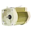 Pentair - SuperFlo VS/VST SuperMax Pre-2020, 1.5 HP Motor (No Drive) 115230V