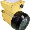 Hayward TEFC Threaded Shaft Motor for Pumps 1HP
