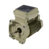 Pentair TEFC Single Speed 56Y Square Flange 1.5 HP Motor Almond 230v